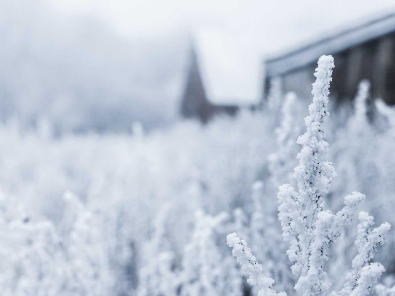 酒店试睡员<br>qye0khhf.cn 枕头舒适度报告